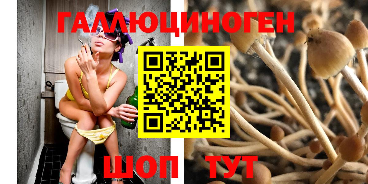 Галлюциногенные грибы Magic Shrooms Абакан